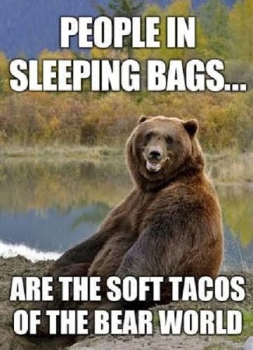 camping-meme-bear-tacos